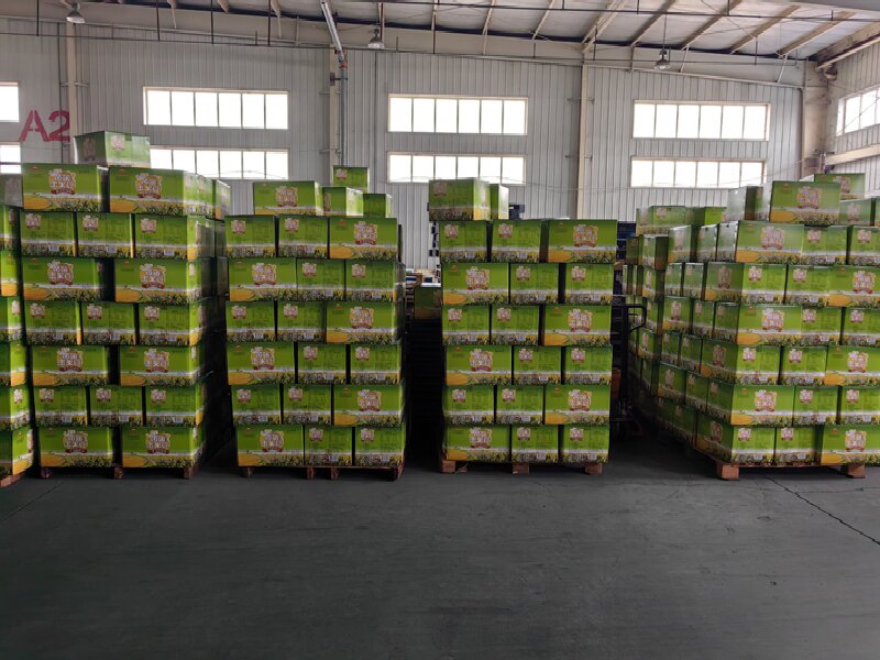 溫州至秭歸縣物流公司