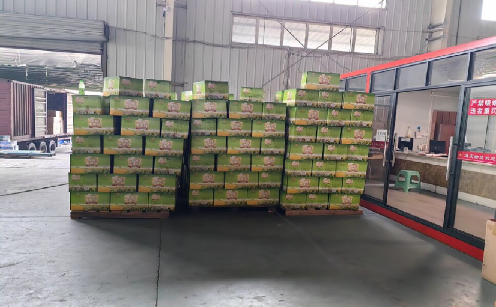 溫州到博湖縣物流專線