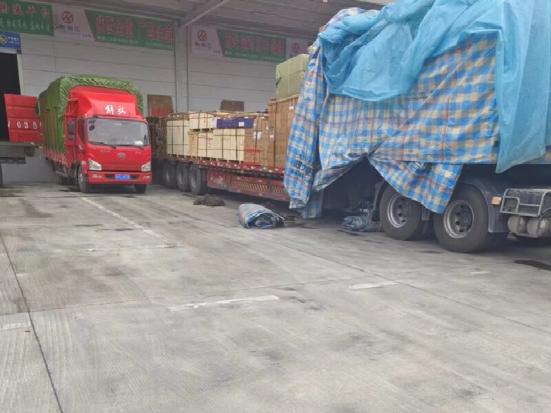 溫州到鄲城縣物流公司